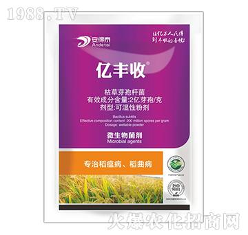 ��(zhu��n)�ε�����������-�|�S��-����̩