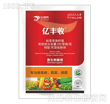 ��(zhu��n)�β����������(x��)��-�|�S��-����̩