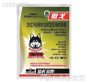 20�|PIB����x���Ͷ���w����-����-���_(d��)����