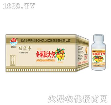 100g冬棗膨大快-奇寶農(nóng)化