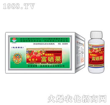 200g富硒果-奇寶農(nóng)化