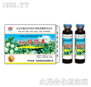 24g���ֲ�G�S-�挚�r��