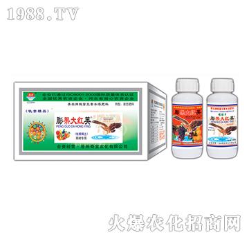 200g�����tӢ-�挚�r(n��ng)��