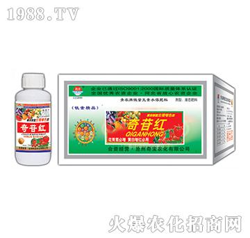 200g���ռt-�挚�r��