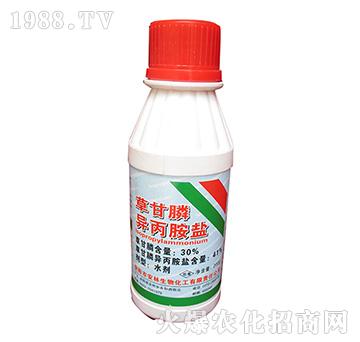 41%�ݸ�좮������}-