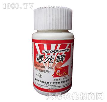 20%������-����