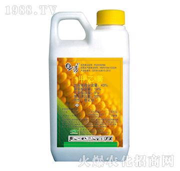 43%����ݬ-��һ��-�G��