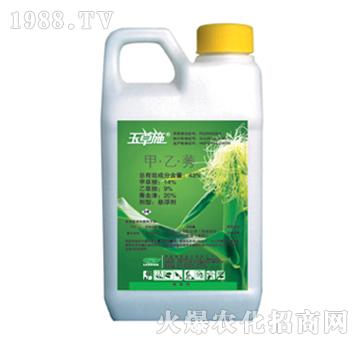 43%����ݬ-���ʩ-�G��