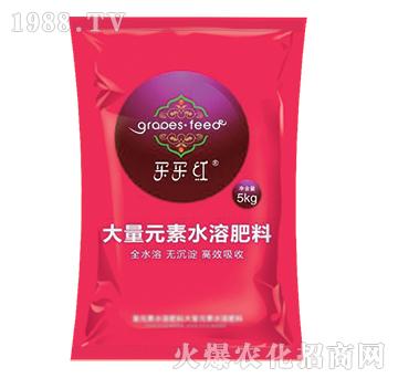 ��߅��ͺϴ�-�E��