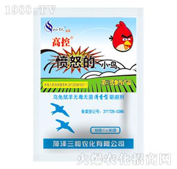 �߿ؑ�ŭ��С�B(ni��o)���������(q��)�܄���-�읙(r��n)����