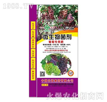 ���ь�(zhu��n)��΢�������-���r(n��ng)