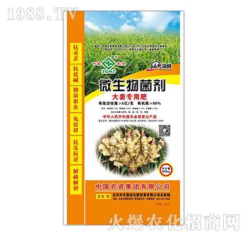 �󽪌�(zhu��n)��΢�������-���r(n��ng)