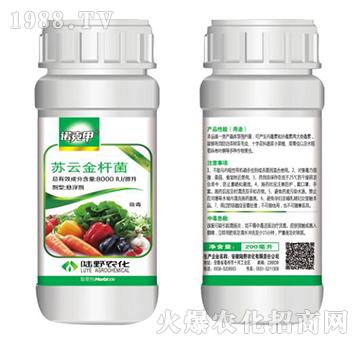 �K�ƽ�U���Ҹ���-�Z�˼�-�Ұ�r(n��ng)��