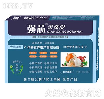 大蒜洋蔥用強芯果然愛葉面肥-強芯國際
