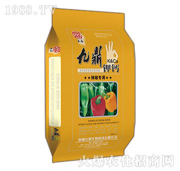 �������þŶ���}-�ذ�Ȫ