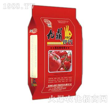 ���t�����þŶ���}-�ذ�Ȫ