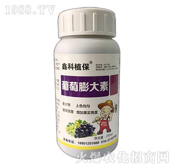 葡萄膨大素-鑫科植保