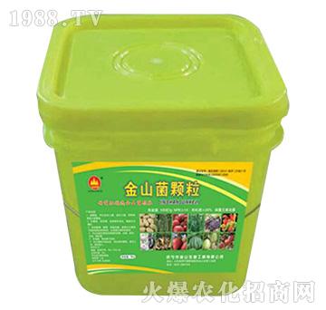 ��ɽ���w��-��ɽ����