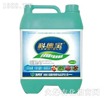 ����ֲ��_ʩ�ι��-��