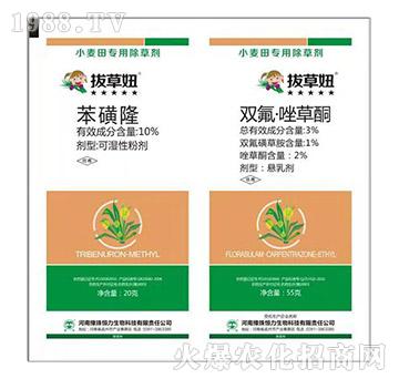 С����ó��݄�-�β��-ԥ�����