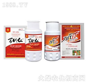 �f���tҺ��-�G��