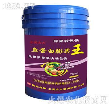 魚蛋白膨果王-北美農(nóng)大