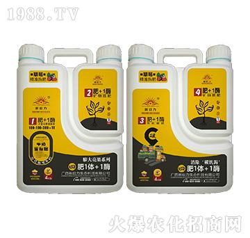 草莓專用（膨大亮果）-肥1體+1酶-新啟力