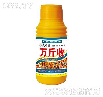 萬(wàn)斤收-北美農(nóng)大