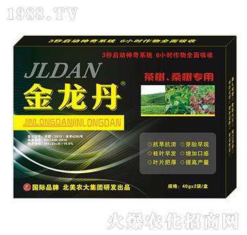 桑茶專用-北美農大