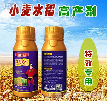 小麥水稻高產(chǎn)劑-巧計(jì)-田小超