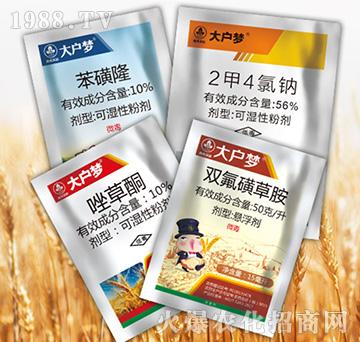 ����4�M��-�к����_(d��)