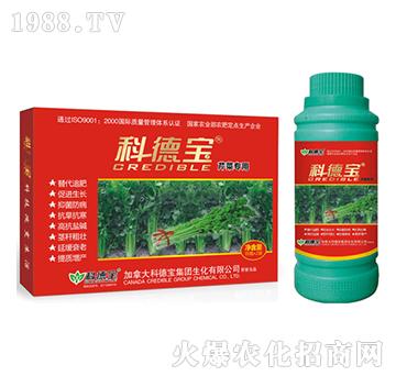 �Ƶ�-�۲ˌ���