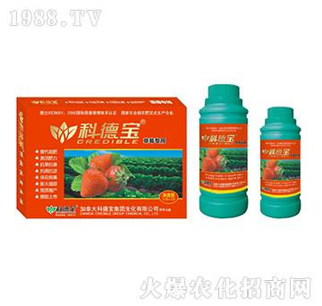 ��ݮ���àI�B(y��ng)���a(ch��n)�{(di��o)�턩