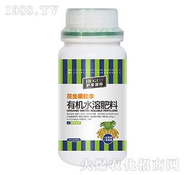 有機水溶肥料-花生果粒豐-護(hù)果國際