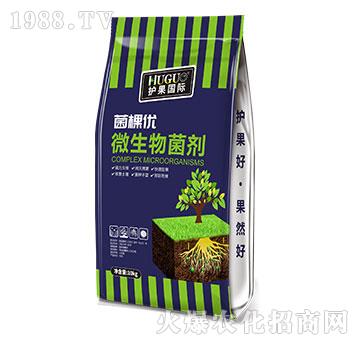 微生物菌劑-菌棵優(yōu)-護(hù)果國際
