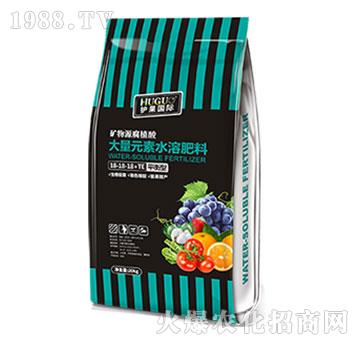 平衡型大量元素水溶肥料-護果國際