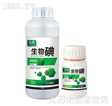 �����-���-�����r