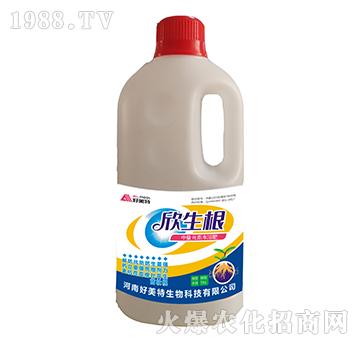 中量元素水溶肥-欣生根-好美特