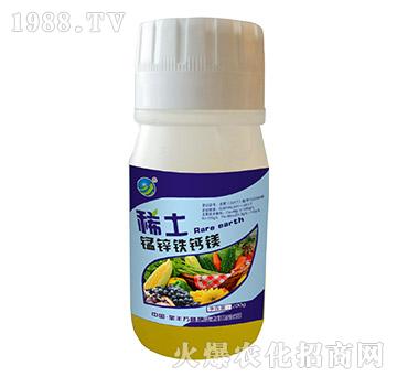 ϡ���i�\�F�}�V-���S�f(w��n)