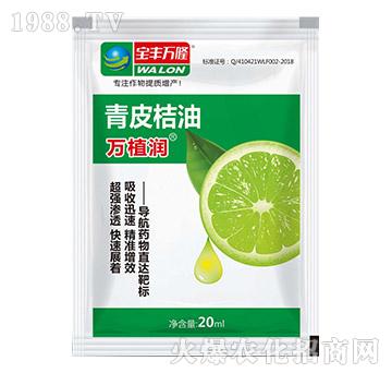 ��Ƥ����-�f(w��n)ֲ��(r��n)-���S