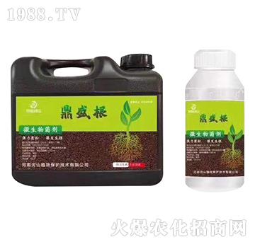 強力生根劑-鼎盛根-鼎盛河山