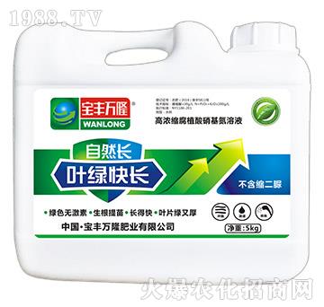 �ߝ�s��ֲ����������Һ-���S�f¡