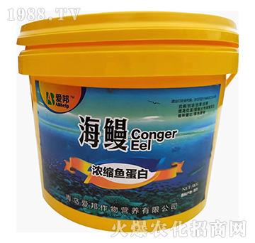 ��s�~(y��)����-����-��(��i)��