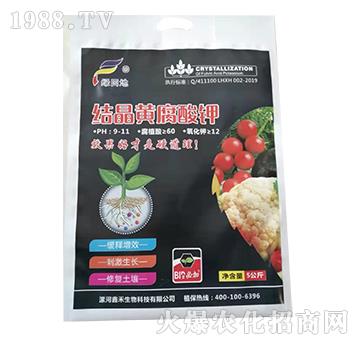 �Y���S�����-�G���