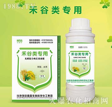 禾谷類專用光碳促合酶長(zhǎng)效液肥-邁睿森
