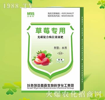 草莓專用光碳促合酶長(zhǎng)效液肥-邁睿森