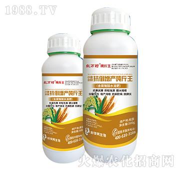 С��ˮ��������-���˹����r(n��ng)��