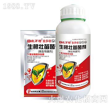 聚谷氨酸微生物菌劑-金多收-人人共享農(nóng)化