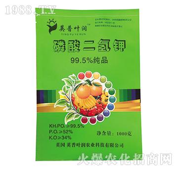 99.5%磷酸二氫鉀-英普葉潤(rùn)
