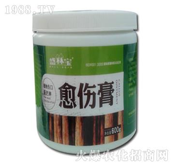 ������-�r(n��ng)��������